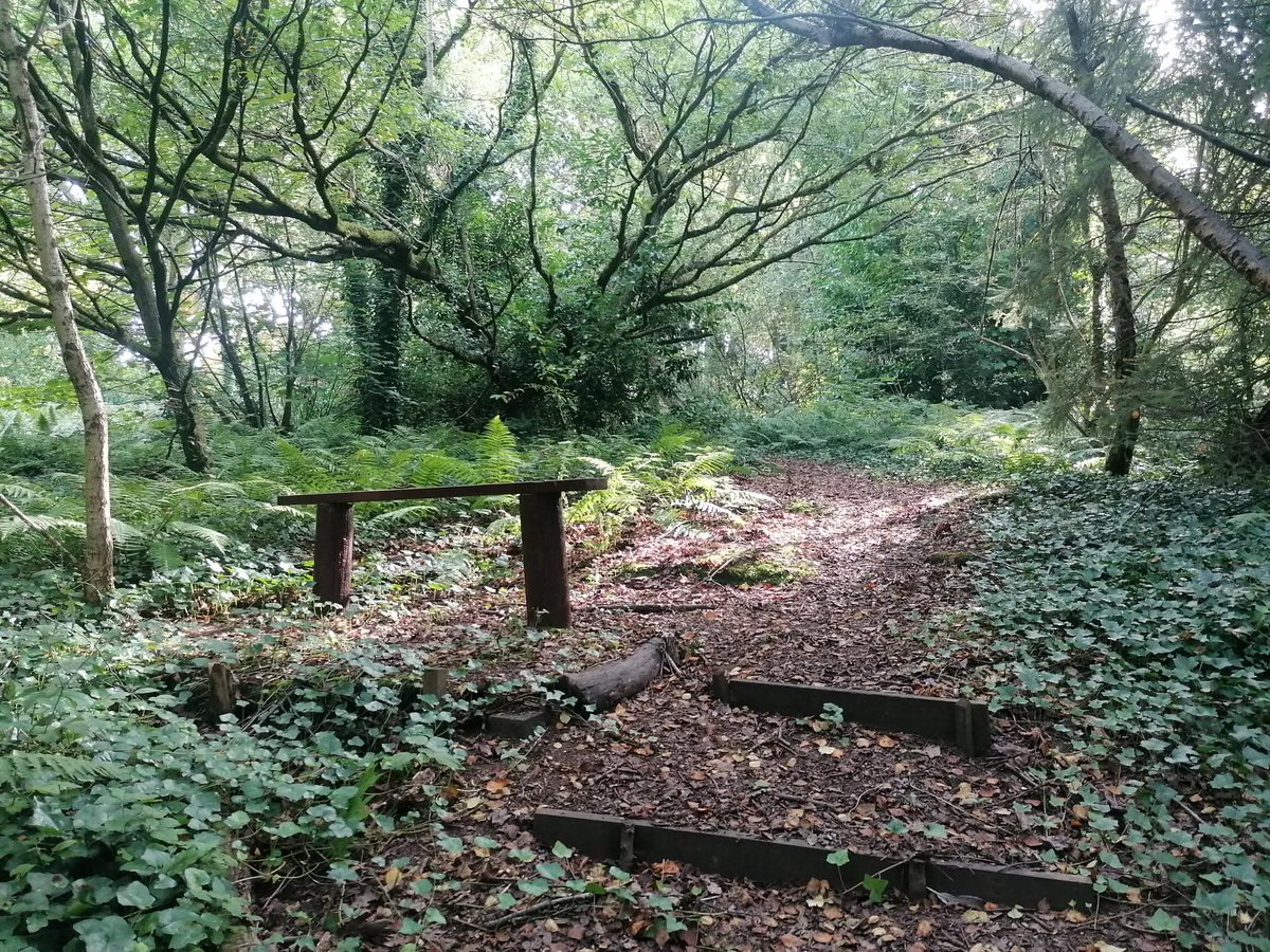 Can you help? 🌳💪

Harborne Reserve is in urgent need of some more practical volunteers! Volunteers meet most Wednesdays, starting at 10am for a couple of hours. No prior experience needed!
