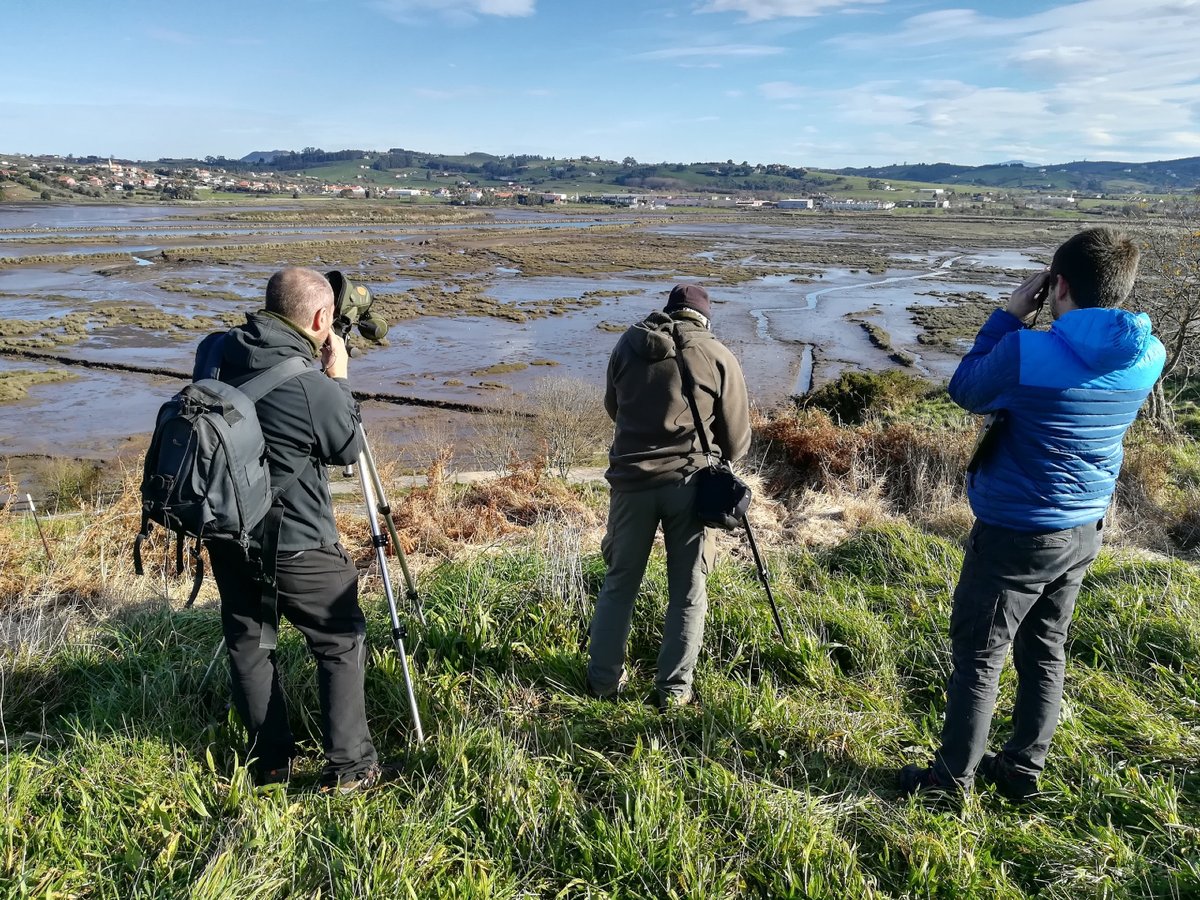 🔬 Nuevas Becas para Investigadores/as noveles y para estudiantes entre 15-18 años.
👨‍🎓 Apoyamos a las nuevas generaciones de ornitólogos financiando sus proyectos científicos sobre #ornitología. 
🧐 Toda la información y las bases 👇
seo.org/becas-jovenes-…
 #BecasSEO