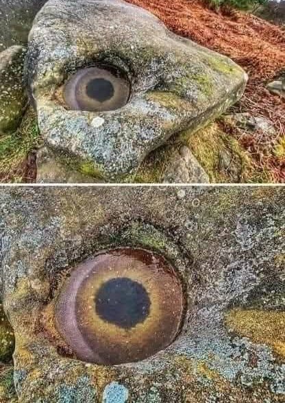 ArchaeoHistories tweet media