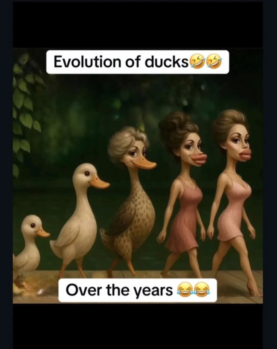 🤣🤣🤣