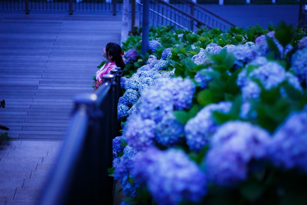 hifu123's tweet photo. 雨やんだね https://t.co/w45z79UA5E