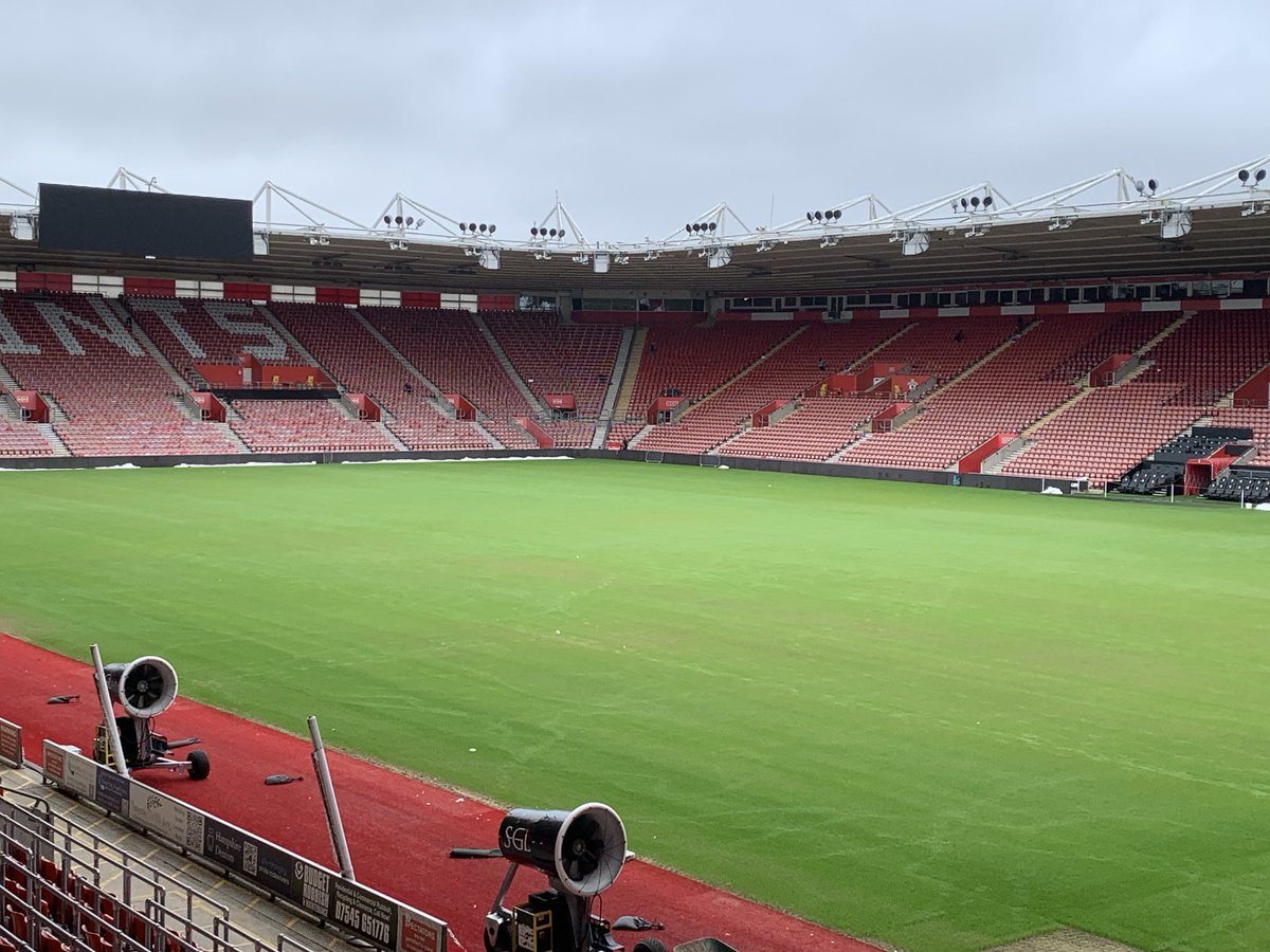 stevenew12's tweet image. Update 1. One week from seed. Time to give it a push now. @dogpockets @GJMills2000 #SaintsFC