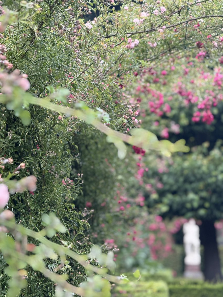 Eindeloos mooi 🤩 <a href="/menkemaborg/">Museum Menkemaborg</a>