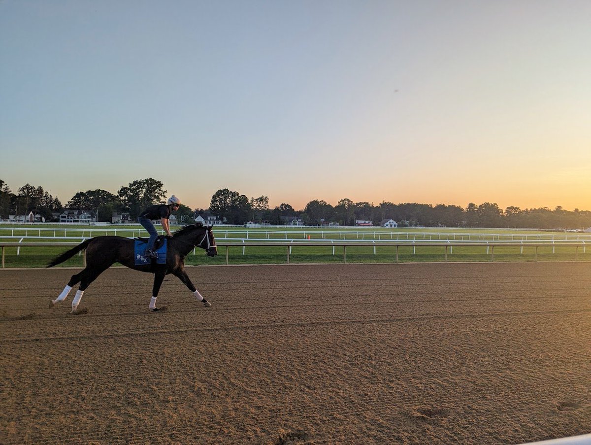 Thursday Pick4win.com picks are up!

#BelmontAtTheBigA 1-8 w/PK5 PK4 &amp; PK3s

Couple turf races &amp; Late PK5 the focus, lets gamble!

#ZJWins🍀#GotGrass🔥#HorseRacing