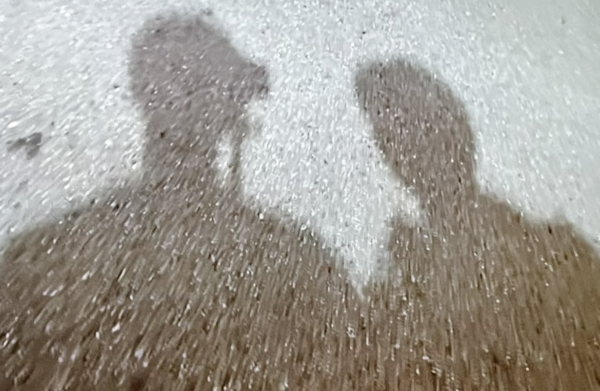 cristina 🌻 tweet media