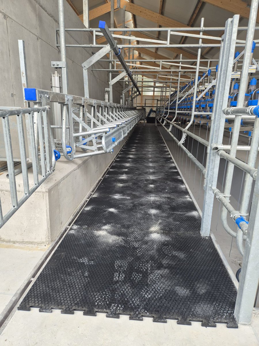 EASYFIX (@easyfixofficial) on Twitter photo ๐๐๐ฌ ๐๐ฃ๐จ๐ฉ๐๐ก๐ก ๐๐ฃ ๐๐ค๐ก๐๐ฃ๐ ๐ต๐ฑ
Our dealer has completed this parlour matting installation to ๐ถ๐บ๐ฝ๐ฟ๐ผ๐๐ฒ ๐ฐ๐ผ๐ ๐ฐ๐ผ๐บ๐ณ๐ผ๐ฟ๐ ๐ฎ๐ป๐ฑ ๐ณ๐น๐ผ๐ on his customers farm resulting in a smooth, ๐๐๐ฟ๐ฒ๐๐-๐ณ๐ฟ๐ฒ๐ฒ ๐บ๐ถ๐น๐ธ๐ถ๐ป๐ด process ๐ฎ
easyfix.com ๐๐๐ฌ ๐๐ฃ๐จ๐ฉ๐๐ก๐ก ๐๐ฃ ๐๐ค๐ก๐๐ฃ๐ ๐ต๐ฑ
Our dealer has completed this parlour matting installation to ๐ถ๐บ๐ฝ๐ฟ๐ผ๐๐ฒ ๐ฐ๐ผ๐ ๐ฐ๐ผ๐บ๐ณ๐ผ๐ฟ๐ ๐ฎ๐ป๐ฑ ๐ณ๐น๐ผ๐ on his customers farm resulting in a smooth, ๐๐๐ฟ๐ฒ๐๐-๐ณ๐ฟ๐ฒ๐ฒ ๐บ๐ถ๐น๐ธ๐ถ๐ป๐ด process ๐ฎ
easyfix.com