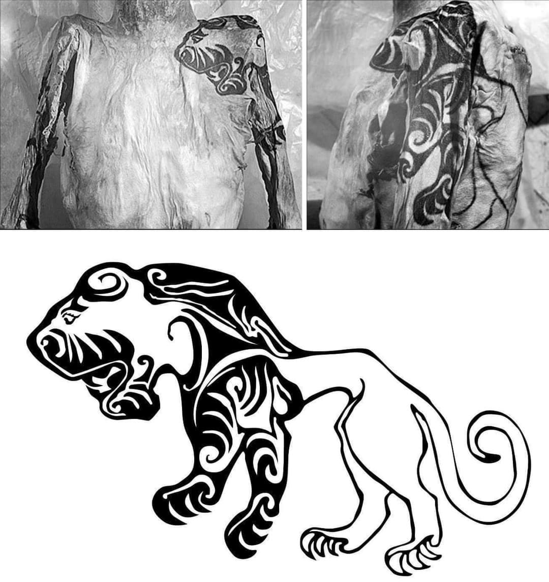 Archaeo - Histories (@archeohistories) on Twitter photo A tiger tattoo on the shoulder of a 3rd Century BC, Scythian male mummy found in 1949 in the Altai Mountains, Siberia, Russia.
Tattoos and body decorations have been traditions in many cultures for thousands of years. They demonstrated membership in groups, showed status, served A tiger tattoo on the shoulder of a 3rd Century BC, Scythian male mummy found in 1949 in the Altai Mountains, Siberia, Russia.
Tattoos and body decorations have been traditions in many cultures for thousands of years. They demonstrated membership in groups, showed status, served
