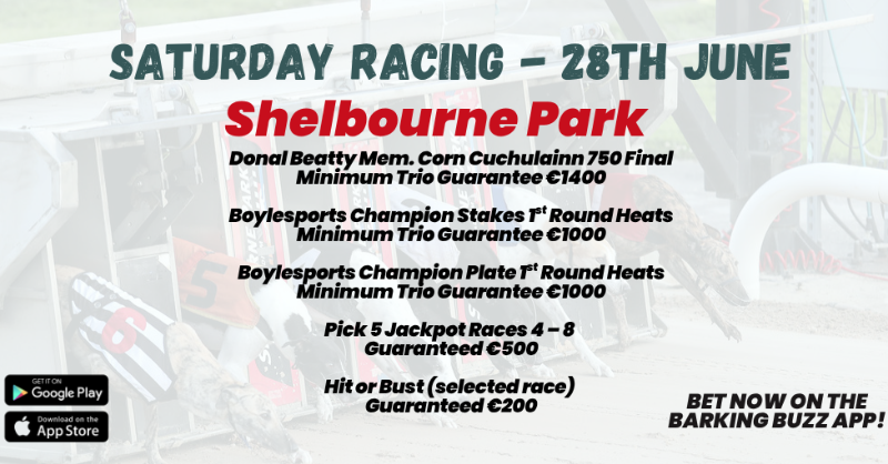 🏟 𝗦𝗮𝘁𝘂𝗿𝗱𝗮𝘆 𝗥𝗮𝗰𝗶𝗻𝗴 𝗮𝘁 𝗦𝗵𝗲𝗹𝗯𝗼𝘂𝗿𝗻𝗲 𝗣𝗮𝗿𝗸 🏟
💥 Donal Beatty Mem. Corn Cuchulainn 750 Final 
💶 Place a €20 Bet &amp; Receive a Free €10 Bet*! 💶

Download the Barking Buzz App or Visit: barkingbuzz.grireland.ie

#GoGreyhoundRacing #DogRacing
*T&amp;Cs apply