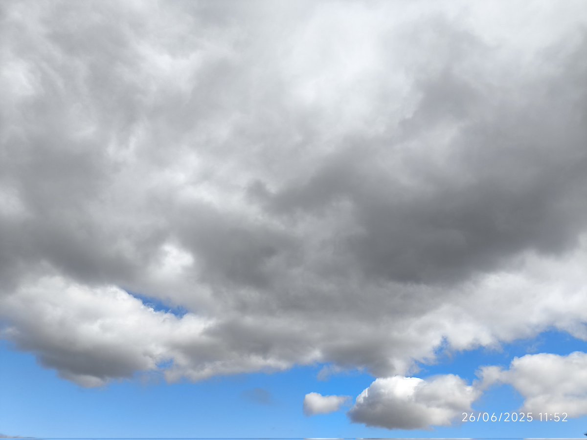 preguntas_mias's tweet image. Ceos