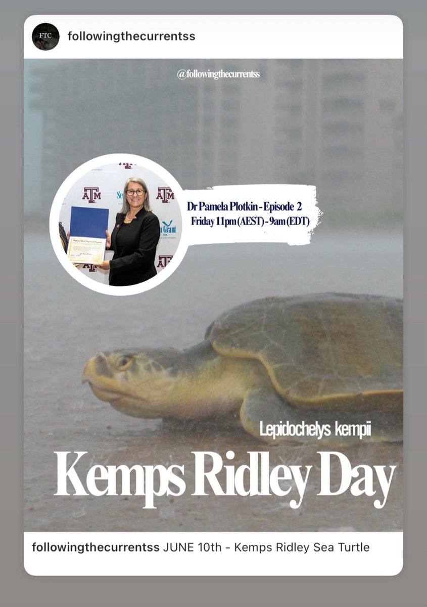 Mark Hamann tweet media