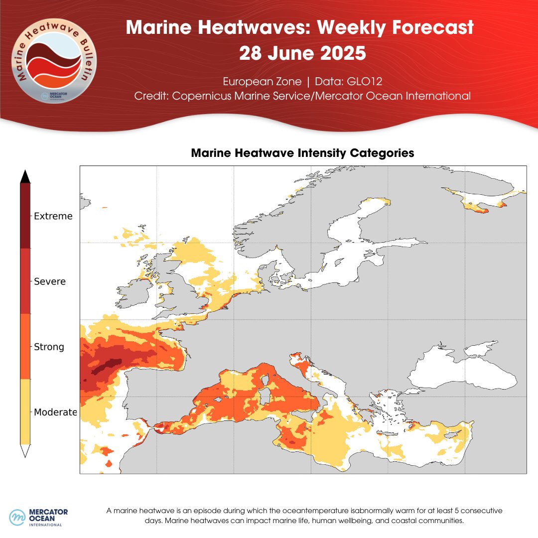 MercatorOcean's tweet image. This week's #MercatorOcean Marine Heatwave Bulletin indicates that European seas are affected by multiple MHWs:
⬆️MHWs intensifying off western #France and #Spain
⬆️MHW is developing in the #NorthSea
⬆️MHW in the western #Mediterranean is increasing
🔗mercator-ocean.eu/bulletin/marin…