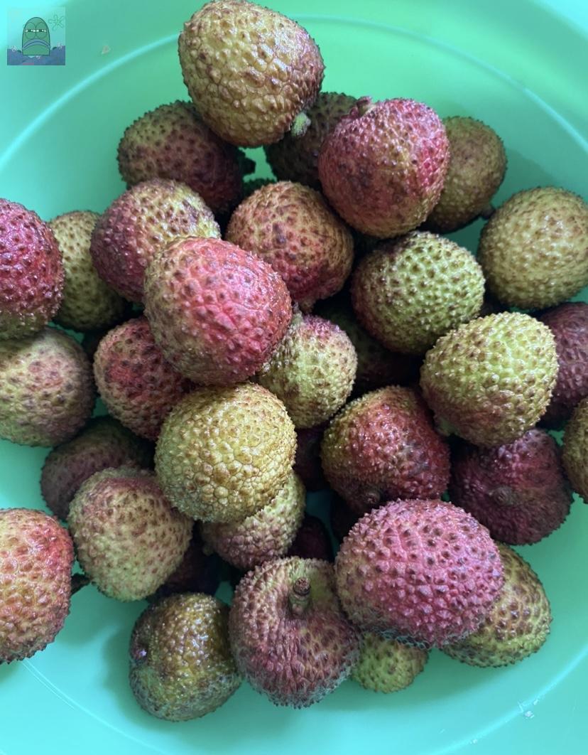 Tanyarl 💚 tweet media