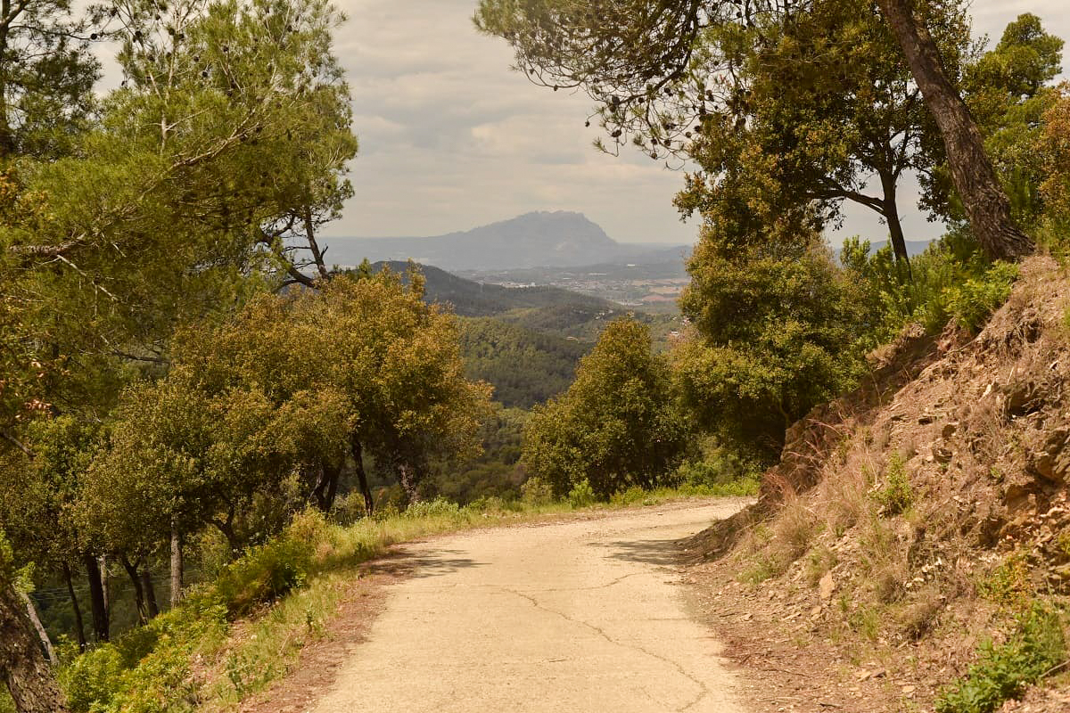 Barcelona Navigator tweet media