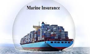 ScmSpectrum's tweet image. @PBforbusiness Launches ‘Enroute’ to Simplify Marine Insurance
READ MORE : scmspectrum.com/policybazaar-f…
#Enroute #MarineInsurance #TransitInsurance #LogisticsTech #SupplyChainAutomation #InsuranceTech #DigitalTransformation #OCR #BusinessInsurance