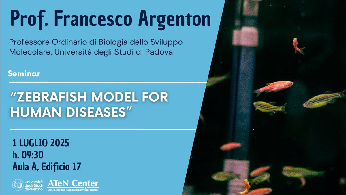 ATeNCenter's tweet photo. ATeN Center è lieto di annunciare il seminario “Zebrafish models for human diseases”, tenuto dal Prof. Francesco Argenton, che si terrà martedì 1 luglio presso l’aula A dell’edificio 17, alle ore 9:30.

Per maggiori info:
https://t.co/75qRerQQMg

#ATeNCenter #UniPa #zebrafish https://t.co/ieO1asNtPu
