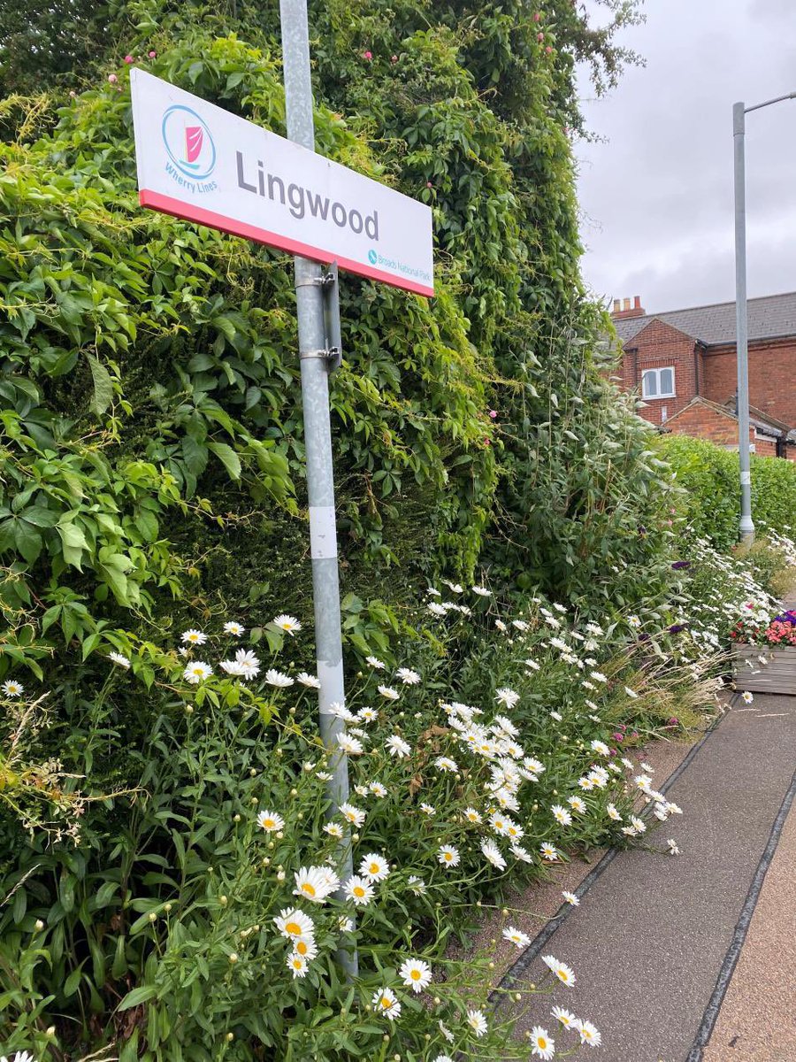 WherryLines's tweet photo. Congratulations to Pat, Ros & Mike at #Lingwood Station on the @greateranglia @WherryLines for achieving @NorfolkWT wildlife friendly accreditation for their efforts in creating and maintaining an array of planting at the station. More info here: https://t.co/Jd7iePv7Zh https://t.co/f7dcNOUETR