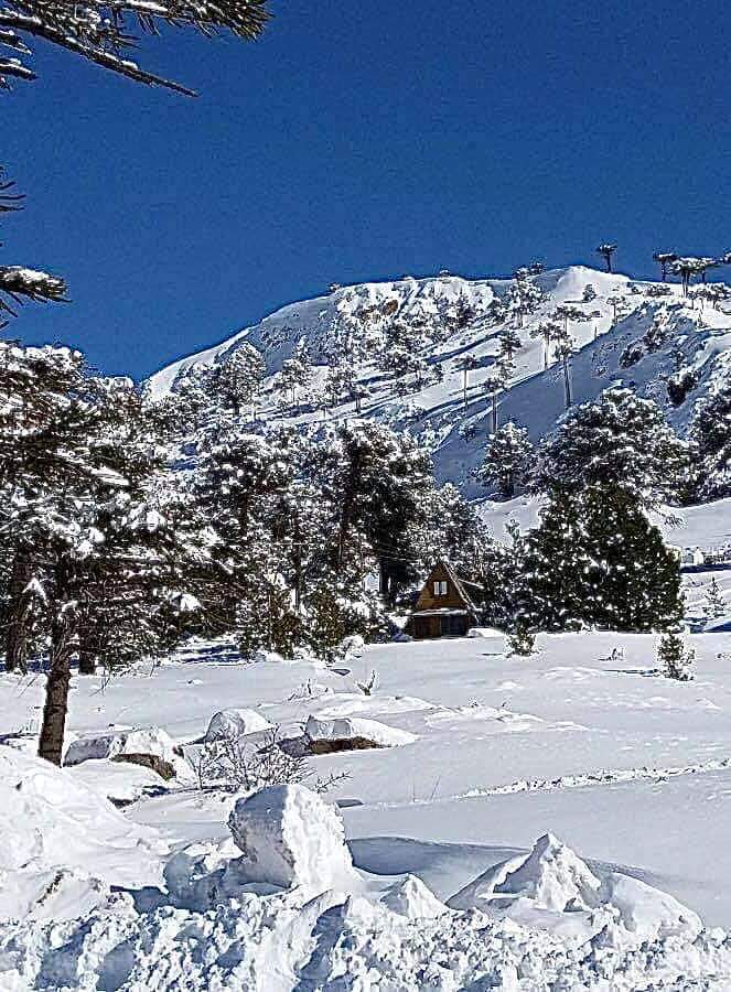 Caviahue , Neuquén , un pueblo blanco  en invierno ☃️❄️🇦🇷

Fotos de  María L Pereyra