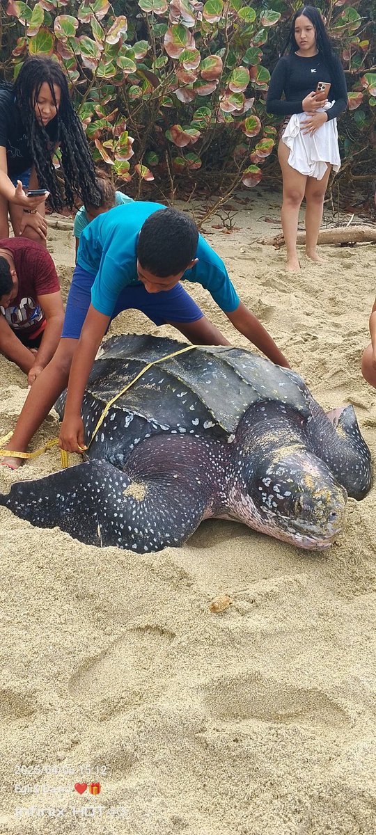 ProyectoCICTMAR tweet media