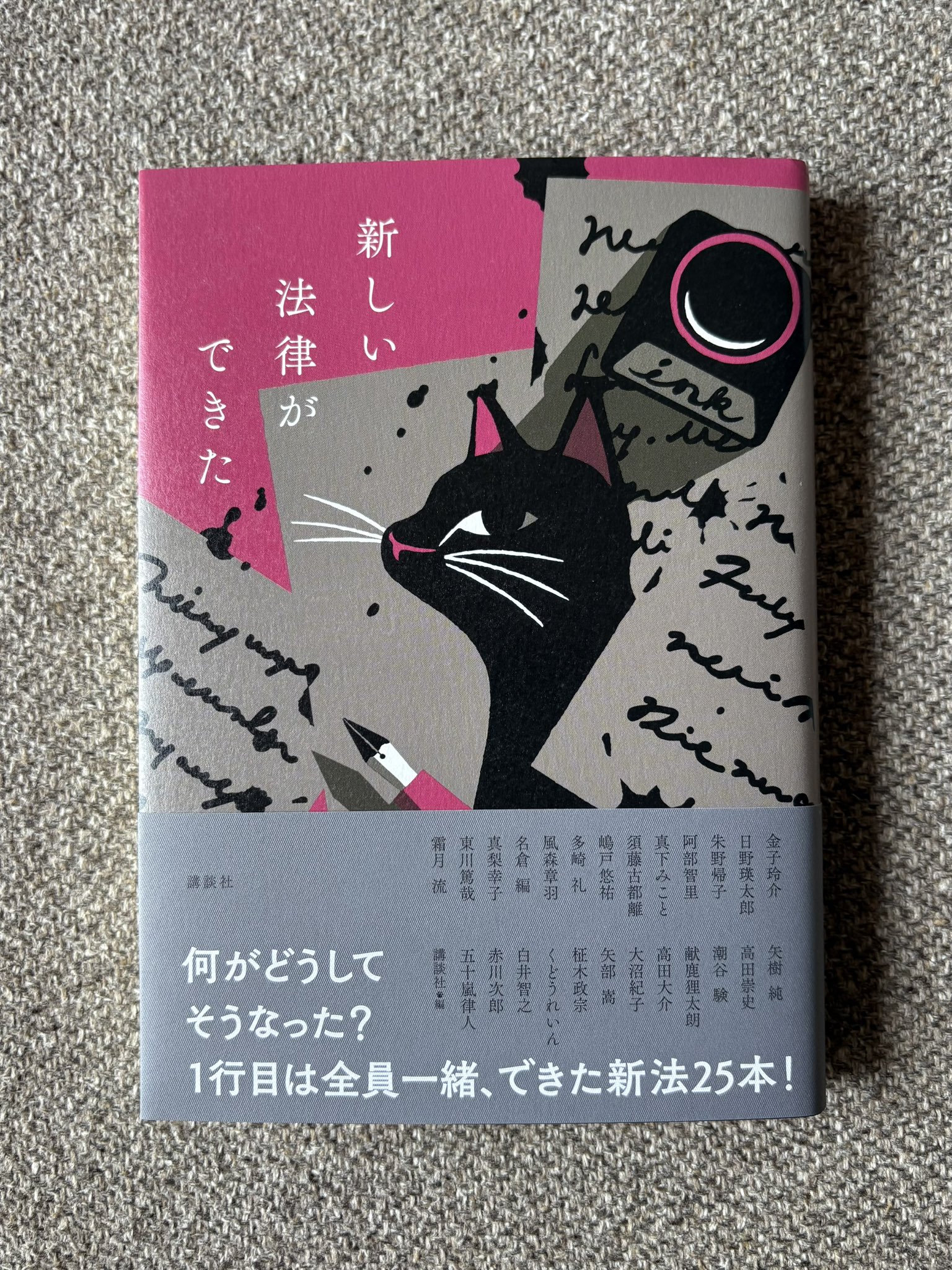 図書館の魔女 上・下 烏の伝言 高田大介 Amazon.co.jp: 図書館の魔女 烏の伝言 (下) (講談社文庫 た 127