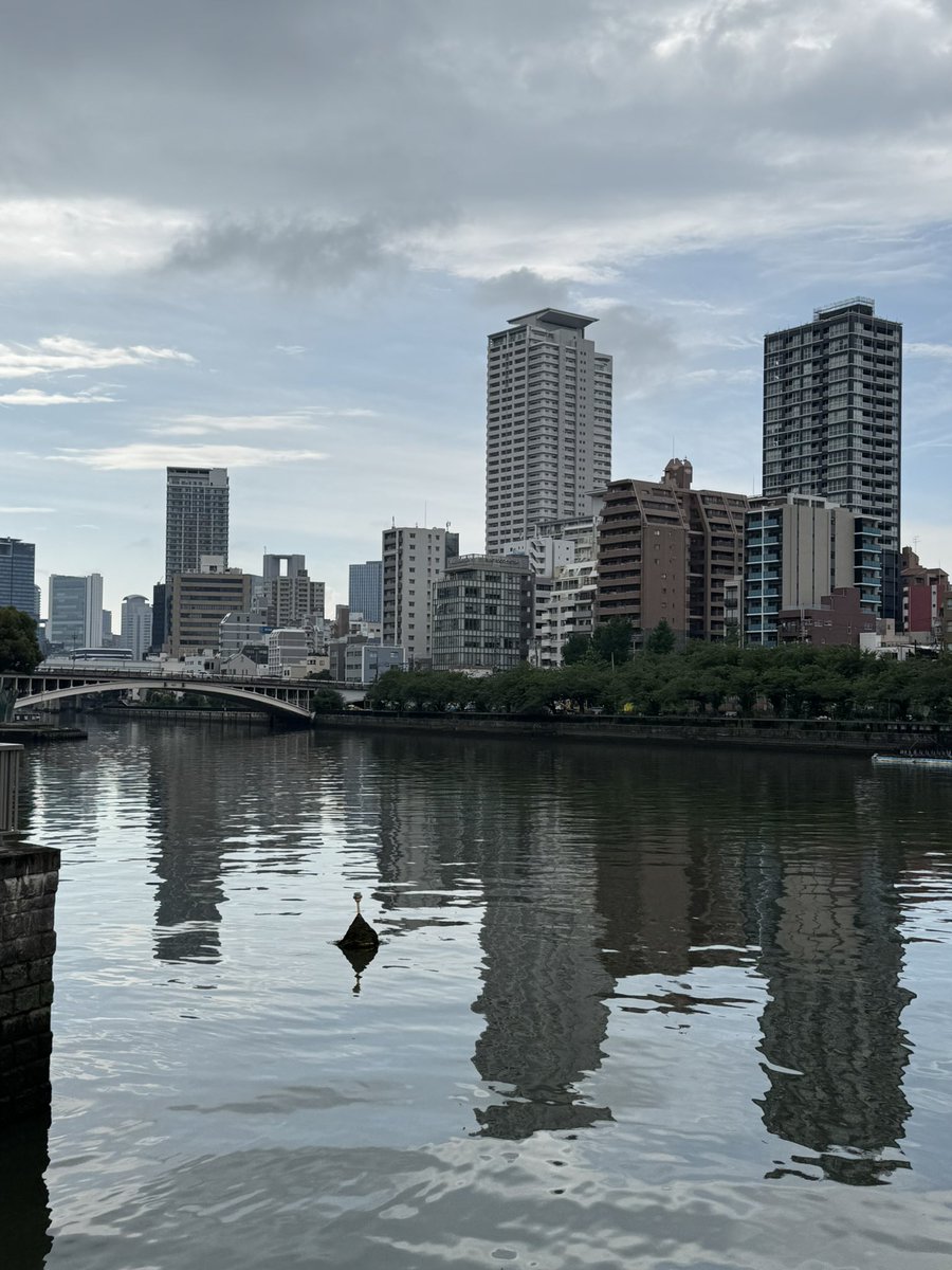 らーつき@すももも tweet media