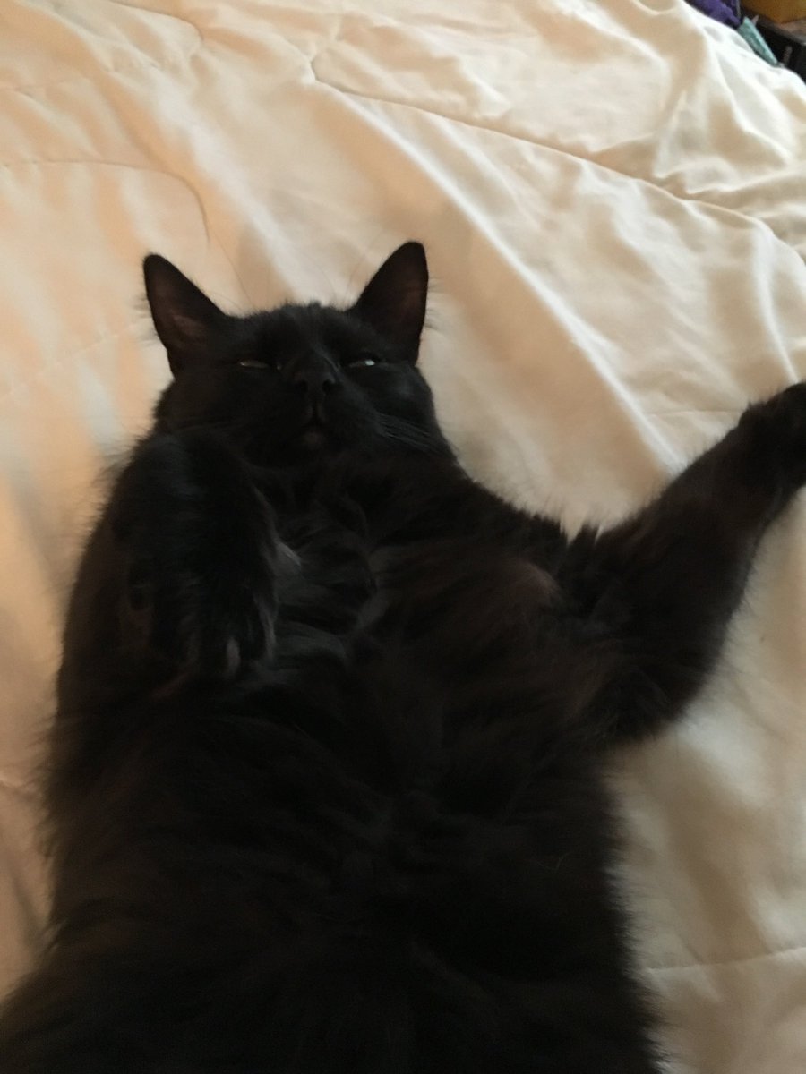 <a href="/Angus_The_Bold/">Angus</a> Me Tom plays food games according to daddy, me asks for food and don’t eat the food…..daddy always confused am me just finicky or me not like anything?