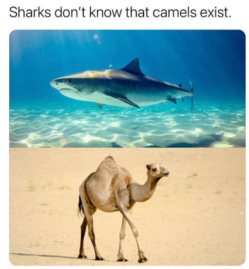 They need to meet. 😂