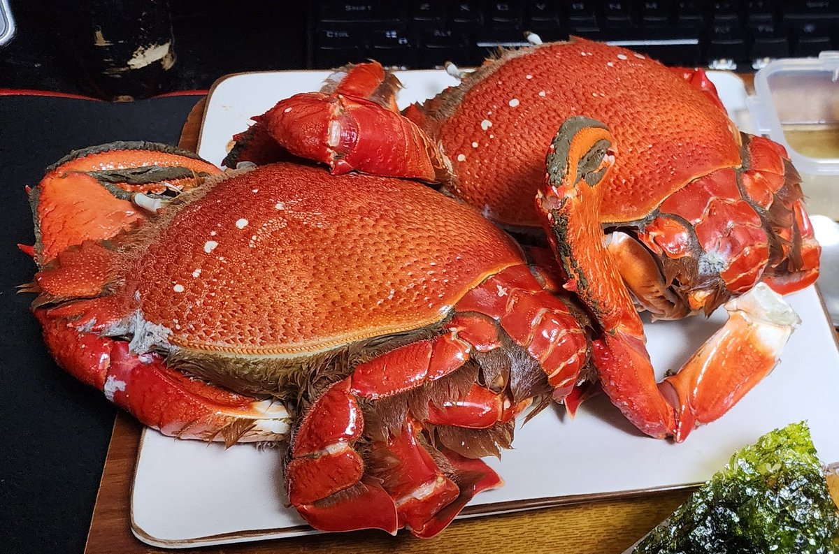 앞으로 걷는 게인 닭게.
한 마리 만원 정도로, 몸통만 따지면 웬만한 킹크랩만큼 크다.
껍질이 엄청나게 두껍기 때문에 거의 산산조각을 내면서 까먹어야 한다는게 단점.