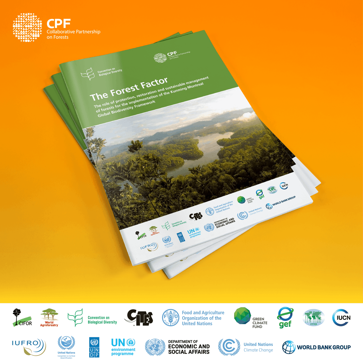 FAO Forestry (@faoforestry) on Twitter photo 📢Check out this publication by #CPForests! The Forest Factor: role of protection, restoration & sustainable management of forests for implementation of Kunming-Montreal Global Biodiversity Framework 🌳
🔗ow.ly/S2Cp50TTt19
<a href="/UNBiodiversity/">UN Biodiversity</a> 📢Check out this publication by #CPForests! The Forest Factor: role of protection, restoration & sustainable management of forests for implementation of Kunming-Montreal Global Biodiversity Framework 🌳
🔗ow.ly/S2Cp50TTt19
<a href="/UNBiodiversity/">UN Biodiversity</a>