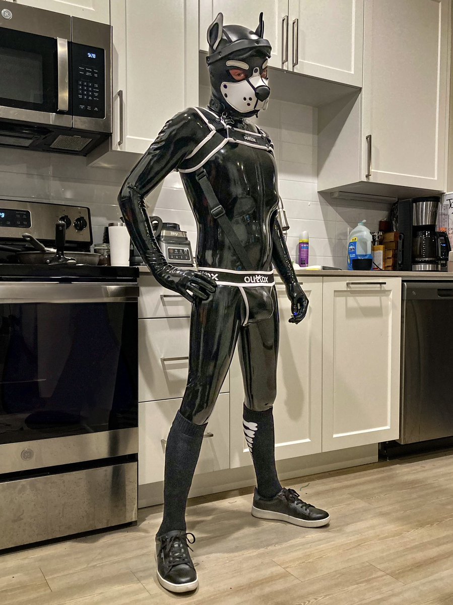 Were you looking for a shiny dog?..✨🐾