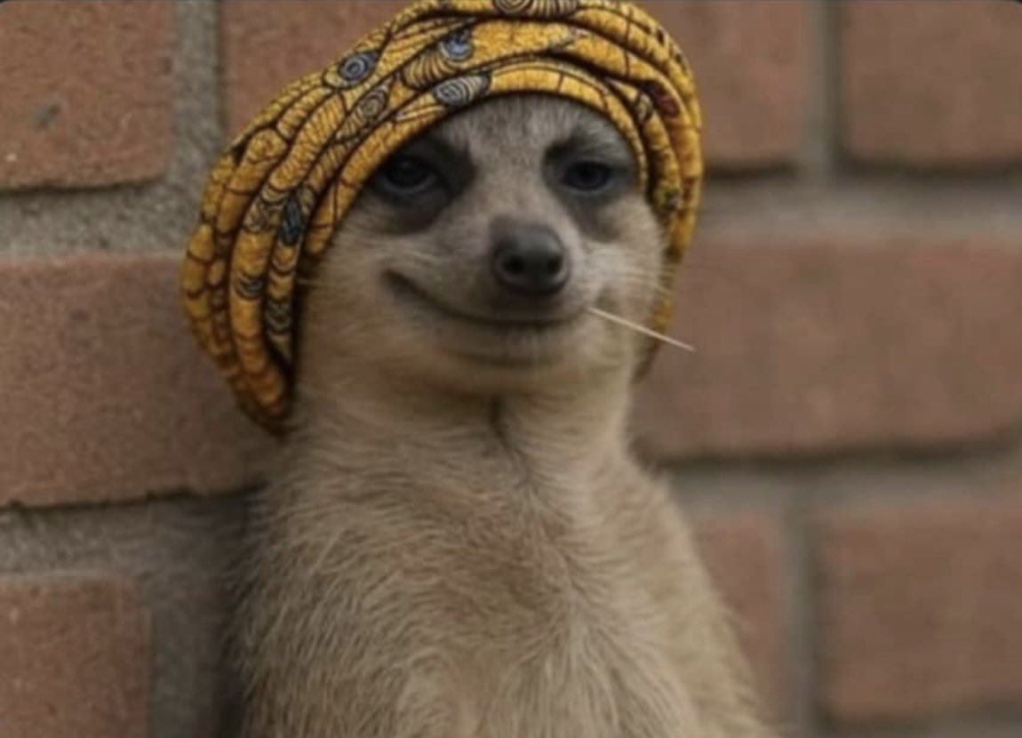 When you finally buy that book you’ve been eyeing for months