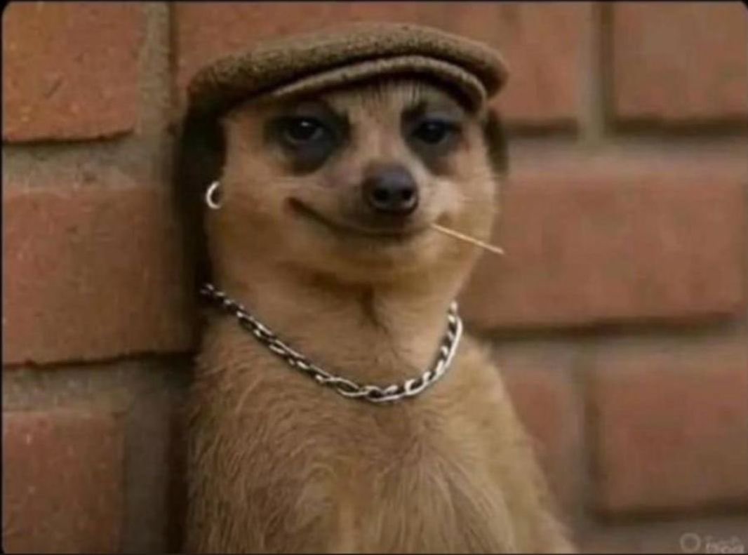 When someone says reading is boring and you know they’re missing out.