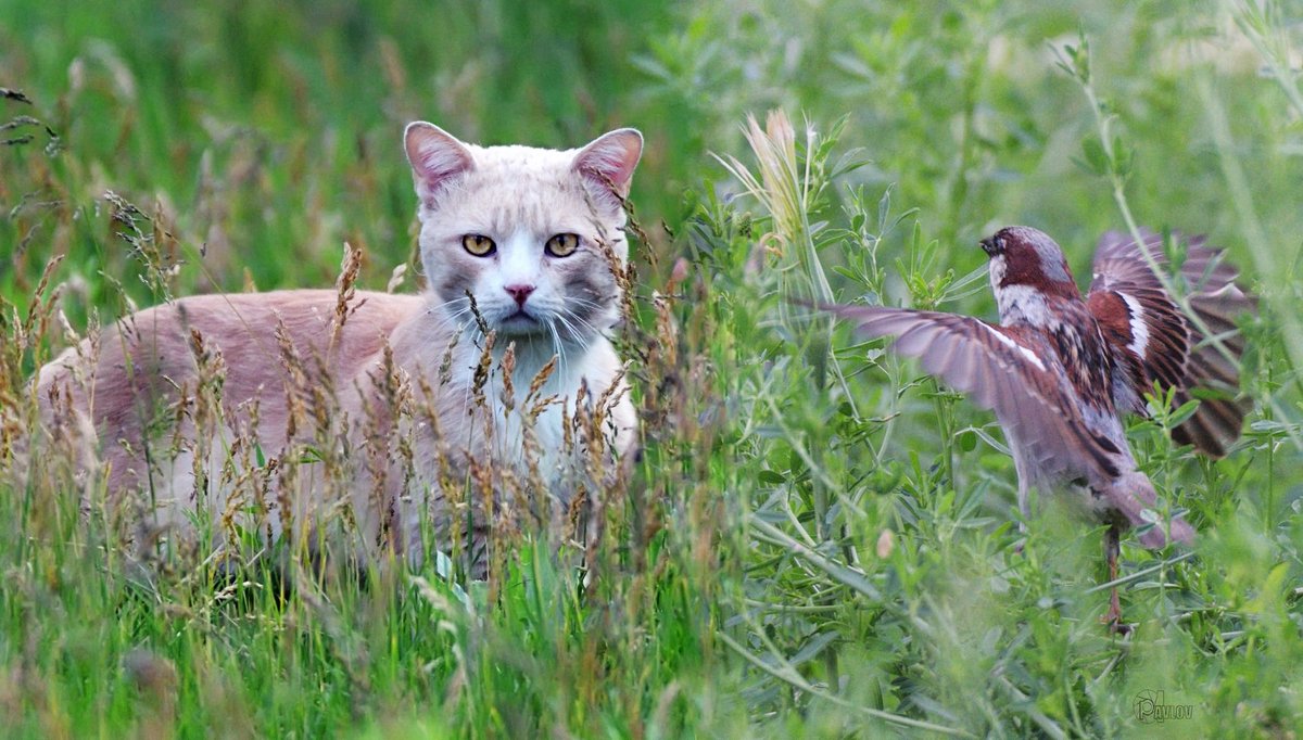 Telegram🙋♀ Иверкана Iverkana🇰🇿 (@ivelkhana93) on Twitter photo <a href="/pelisoro/">Baba Je🦅🧙♀️🌌😎</a> <a href="/OcakAyhan/">🇹🇷🇵🇸Ocak Ayhan 💙🌷</a> <a href="/tyten67237068/">Ten Reice Dizon</a> <a href="/Dipanka82446090/">Dipankar Roy</a> <a href="/89BrownSugar/">WILL MA</a> <a href="/MDPARWAIZAlam17/">PARWAIZ SHAIKH (SHAIKHU BHAI)</a> <a href="/LindaLeeKing/">Linda Lee King</a> <a href="/PosiePosie1212/">Posie</a> <a href="/szentandrassym/">🌞 Sophie S 🌴</a> <a href="/louca_chri33156/">Christos Louca</a> <a href="/TaposKumarBasu/">⭐✳️🇮🇳तापोस🇮🇳✳️⭐</a> <a href="/Lucas904031/">yuanzheng互fo</a> <a href="/KhodaeiMoheb/">Ahmad Moheb.Khodaei</a> <a href="/E93Khana/">Иверкана Iverkhana</a> <a href="/UKopr8r/">Pamela Gouge</a> <a href="/GinaJardines/">Cleopatra</a> <a href="/1redroc/">𝕽𝖊𝖉𝖗𝖔𝖈𝖐</a> <a href="/zahrat_lotas/">❤️S.zahra❤️</a> <a href="/fryld/">Fryl dnc</a> <a href="/Eileen77777/">Eileen🤍🕊️</a> <a href="/2015Suheyla/">Süheyla</a> <a href="/1qqmr/">𝓦𝓐𝓐𝓓</a> <a href="/V13lula/">Karen Lúcia♀️🚩🌵</a> <a href="/3_toshiyuki/">toshiyuki (I like new things.)</a> <a href="/Sophia56891/">Sophia</a> <a href="/scouse_kim/">scouse kim</a> <a href="/ZyasRicky/">Ricky Zayas C</a> <a href="/7Keendo/">🦅ӄɛɛռɖօ</a> <a href="/y70_txy/">#TeamKaren</a> <a href="/piresay/">Sevgi 💐🌼🌹🌺🤍❣️</a> <a href="/DarkCandyGirl/">Eos Kanon</a> <a href="/Leah2477/">Leah</a> <a href="/dany_grazia/">»🌺 « Ǥ𝓻𝐚zɨa »🌺 «</a> <a href="/Jilliemary/">Jillian Peeling</a> <a href="/Aina_A_to_Z/">Aina ☆アイナ🐈☆*.。.🌟カわュƖ ı絵ヲ描ㄑねコ🐱ƒ ̵̲˝꒭❤ ✨🐰🦄🏹</a> <a href="/g/">Senator Greg Leding</a> Привет <a href="/pelisoro/">Baba Je🦅🧙♀️🌌😎</a> <a href="/OcakAyhan/">🇹🇷🇵🇸Ocak Ayhan 💙🌷</a> <a href="/tyten67237068/">Ten Reice Dizon</a> <a href="/Dipanka82446090/">Dipankar Roy</a> <a href="/89BrownSugar/">WILL MA</a> <a href="/MDPARWAIZAlam17/">PARWAIZ SHAIKH (SHAIKHU BHAI)</a> <a href="/LindaLeeKing/">Linda Lee King</a> <a href="/PosiePosie1212/">Posie</a> <a href="/szentandrassym/">🌞 Sophie S 🌴</a> <a href="/louca_chri33156/">Christos Louca</a> <a href="/TaposKumarBasu/">⭐✳️🇮🇳तापोस🇮🇳✳️⭐</a> <a href="/Lucas904031/">yuanzheng互fo</a> <a href="/KhodaeiMoheb/">Ahmad Moheb.Khodaei</a> <a href="/E93Khana/">Иверкана Iverkhana</a> <a href="/UKopr8r/">Pamela Gouge</a> <a href="/GinaJardines/">Cleopatra</a> <a href="/1redroc/">𝕽𝖊𝖉𝖗𝖔𝖈𝖐</a> <a href="/zahrat_lotas/">❤️S.zahra❤️</a> <a href="/fryld/">Fryl dnc</a> <a href="/Eileen77777/">Eileen🤍🕊️</a> <a href="/2015Suheyla/">Süheyla</a> <a href="/1qqmr/">𝓦𝓐𝓐𝓓</a> <a href="/V13lula/">Karen Lúcia♀️🚩🌵</a> <a href="/3_toshiyuki/">toshiyuki (I like new things.)</a> <a href="/Sophia56891/">Sophia</a> <a href="/scouse_kim/">scouse kim</a> <a href="/ZyasRicky/">Ricky Zayas C</a> <a href="/7Keendo/">🦅ӄɛɛռɖօ</a> <a href="/y70_txy/">#TeamKaren</a> <a href="/piresay/">Sevgi 💐🌼🌹🌺🤍❣️</a> <a href="/DarkCandyGirl/">Eos Kanon</a> <a href="/Leah2477/">Leah</a> <a href="/dany_grazia/">»🌺 « Ǥ𝓻𝐚zɨa »🌺 «</a> <a href="/Jilliemary/">Jillian Peeling</a> <a href="/Aina_A_to_Z/">Aina ☆アイナ🐈☆*.。.🌟カわュƖ ı絵ヲ描ㄑねコ🐱ƒ ̵̲˝꒭❤ ✨🐰🦄🏹</a> <a href="/g/">Senator Greg Leding</a> Привет