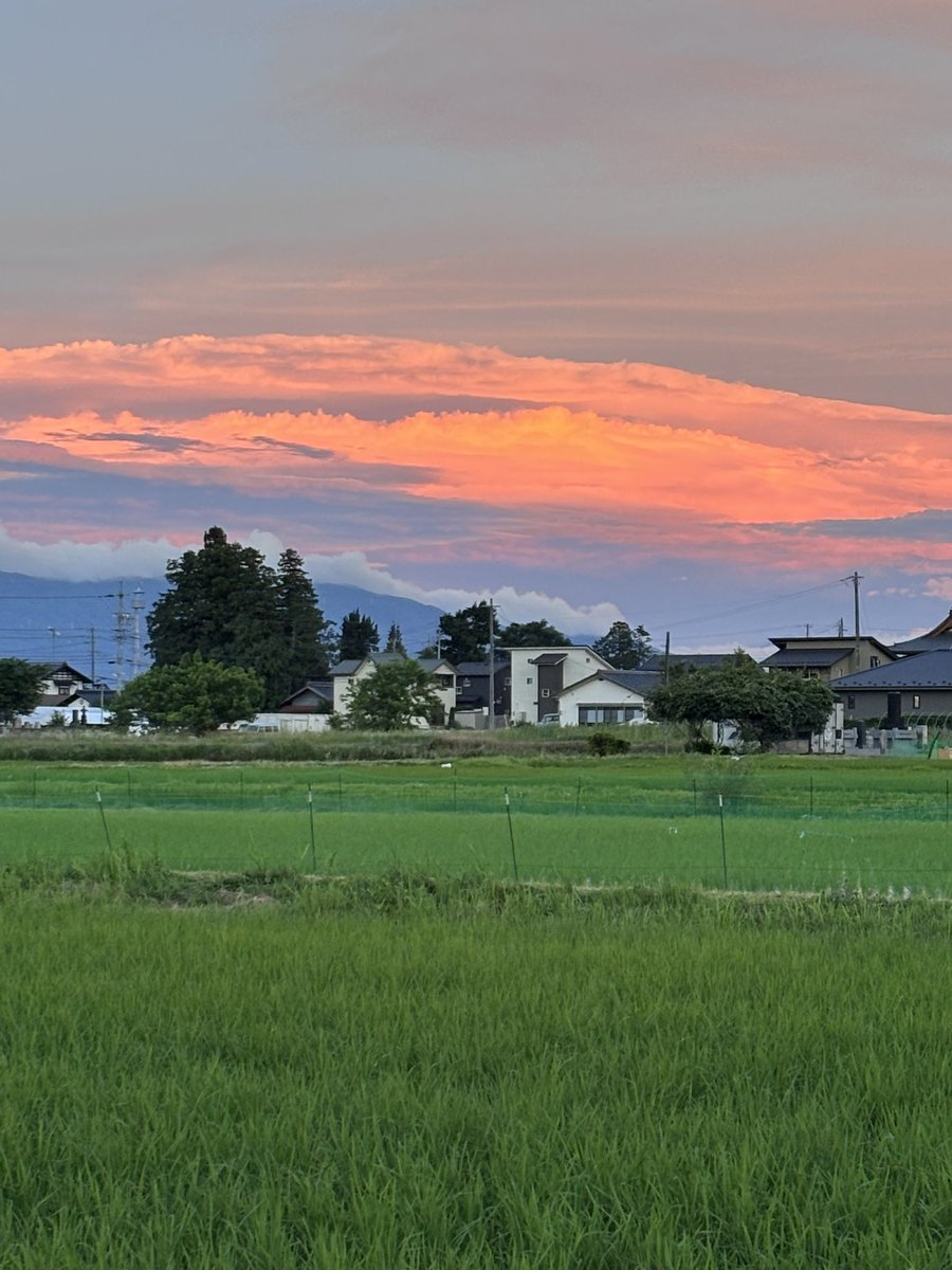 Tyaityai0904's tweet photo. 仕事帰り、何気なく見たら、夕日に照らされてきれいな雲だった。 #仕事帰り #雲 #きれいな景色 #安曇野市 https://t.co/7ylF8yvIck