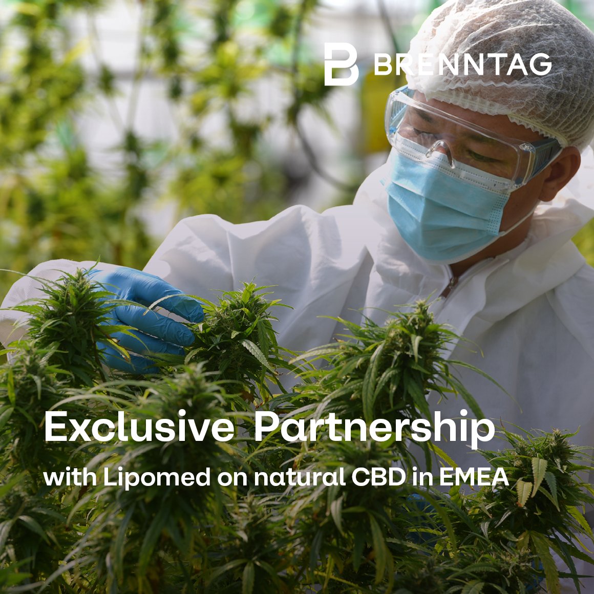 Brenntag Specialties announces exclusive partnership with Lipomed on natural CBD in EMEA. Learn more in today's press release here: spkl.io/6019A6NrB

#Partnership #Pharma #EMEA