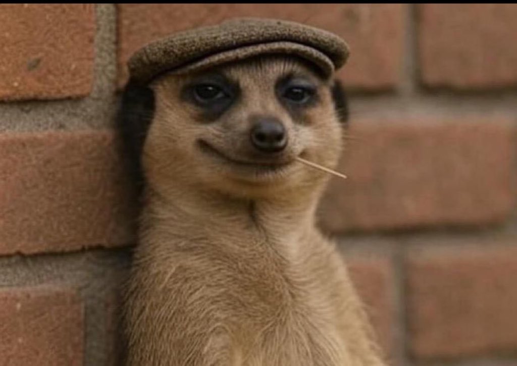 🧢 “When your community engagement is on point… and it’s all thanks to QuestFi.”

💥 AI-powered quests. Real users. No bots.
Join the smart way to grow Web3 communities 👉 

t.me/official_quest…