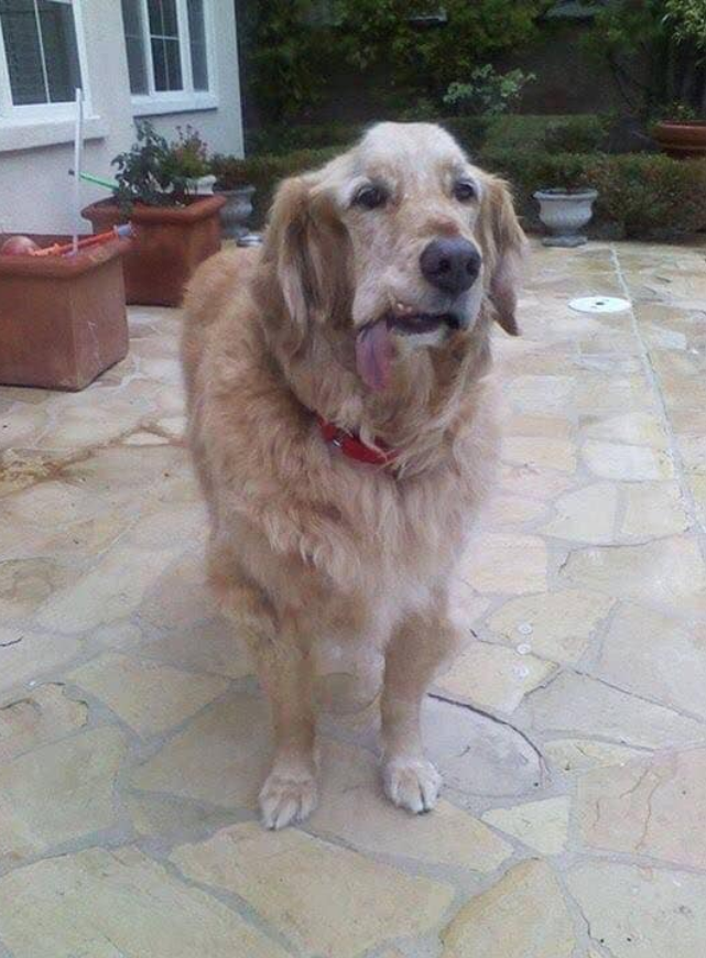 I suffered a stroke, but my mom thinks I'm still beautiful. Do you agree ?