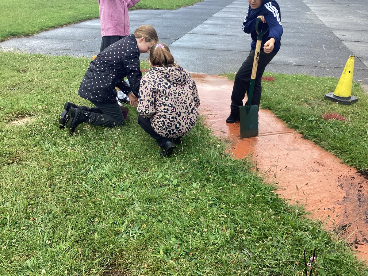 CollingwoodEco_'s tweet photo. Our lovely hydrangea plants finally getting planted along our Thrive Hive path. https://t.co/SfUPIezhS1