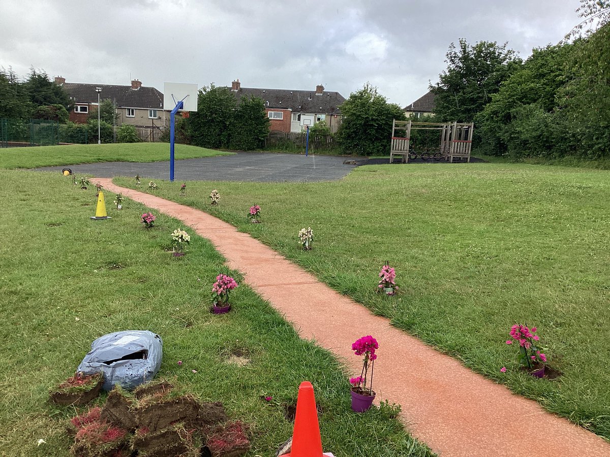 CollingwoodEco_'s tweet photo. Our lovely hydrangea plants finally getting planted along our Thrive Hive path. https://t.co/SfUPIezhS1