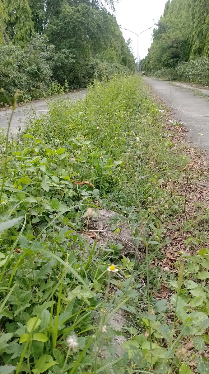 Nakapag tambay din ulit Ako dito #altertarlac #tarlacalter