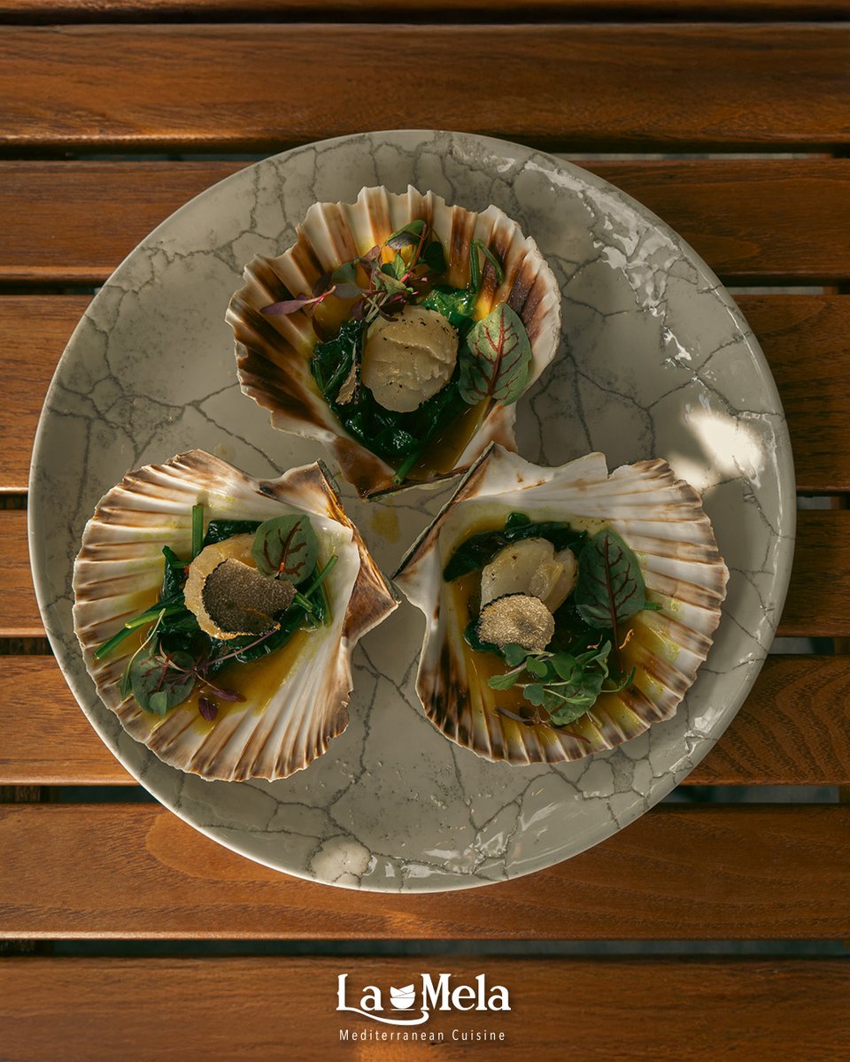 LaMelaBistro's tweet image. A taste of the Med in every shell. 🐚
Hand-dived scallops, fresh greens, a whisper of truffle. The kind of dish that makes you want to linger just a little longer.
Book now: lamelabistro.com
#MediterraneanFlavours #SeafoodDelight #LaMelaMoments