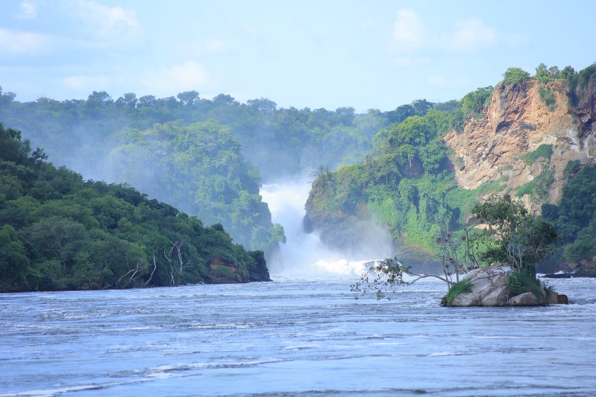 HansTenywa's tweet photo. A day in the wild 😜 seeing how nature works 

Beautiful moment 📍 #MNP 

#ExploreUganda https://t.co/jZ9R8w8W24