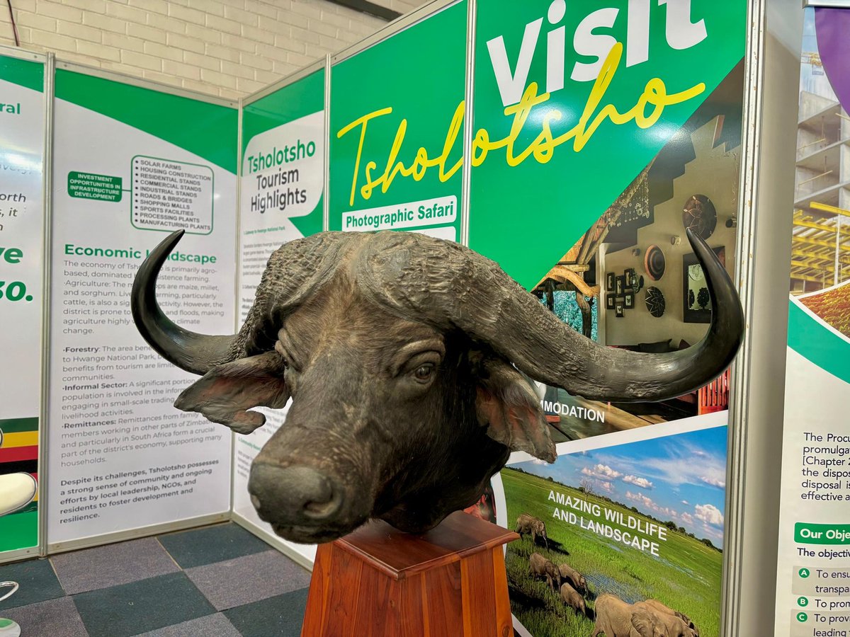 ZITF1's tweet image. On the ground at the 4th Edition of the All Councillors’ Indaba, hosted by the Ministry of Local Government and Public Works.

As ZICES, we’re honoured to offer a platform where policy, progress, and partnerships converge. From national dialogues to industry-defining engagements,