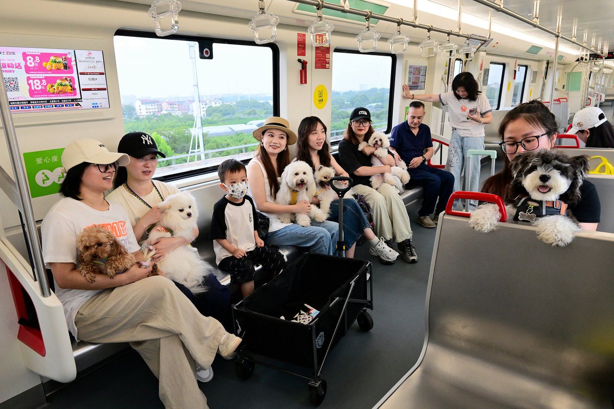 JiningCity's tweet photo. The first-ever “Pet Train” in Jinhua City, east China’s Zhejiang Province set off from Jinhua Rail Transit Station on Sunday, bringing adorable pets and their owners together for a fun-filled journey.Source:People's Daily,China #Pets #PetTrain #Jinhua #journey #Zhejiang https://t.co/KrcGtfW4Nf