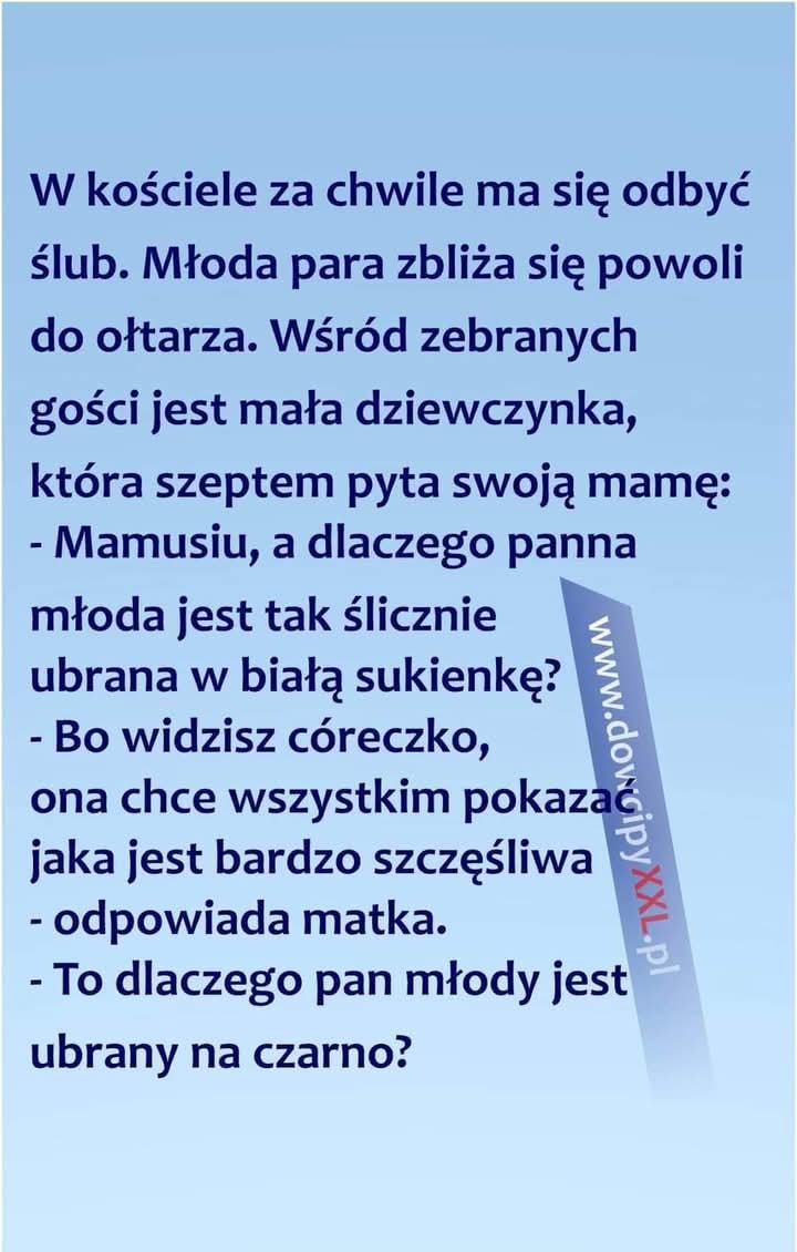 Grażyna Miziuła Gracja (@gmiziula) on Twitter photo 