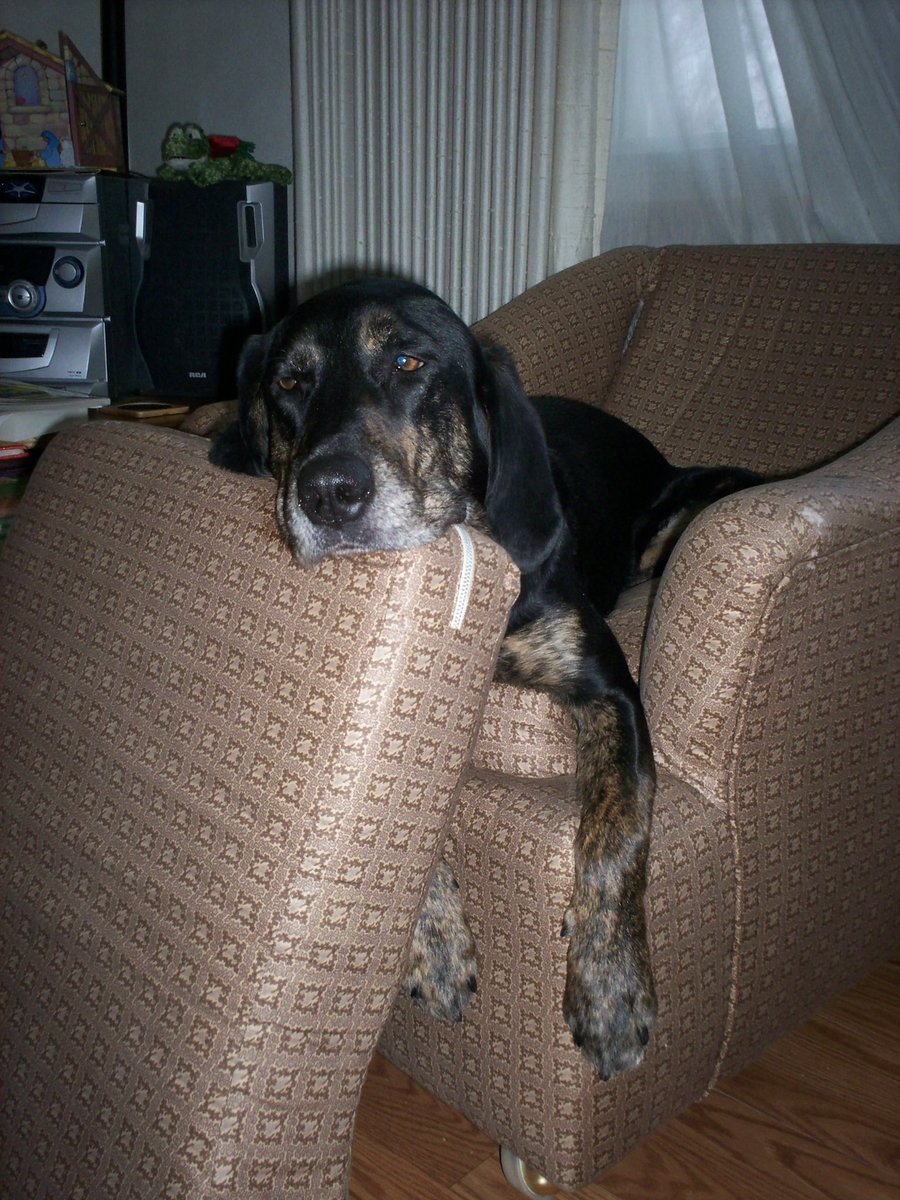 #ThrowbackThursday to young man Z