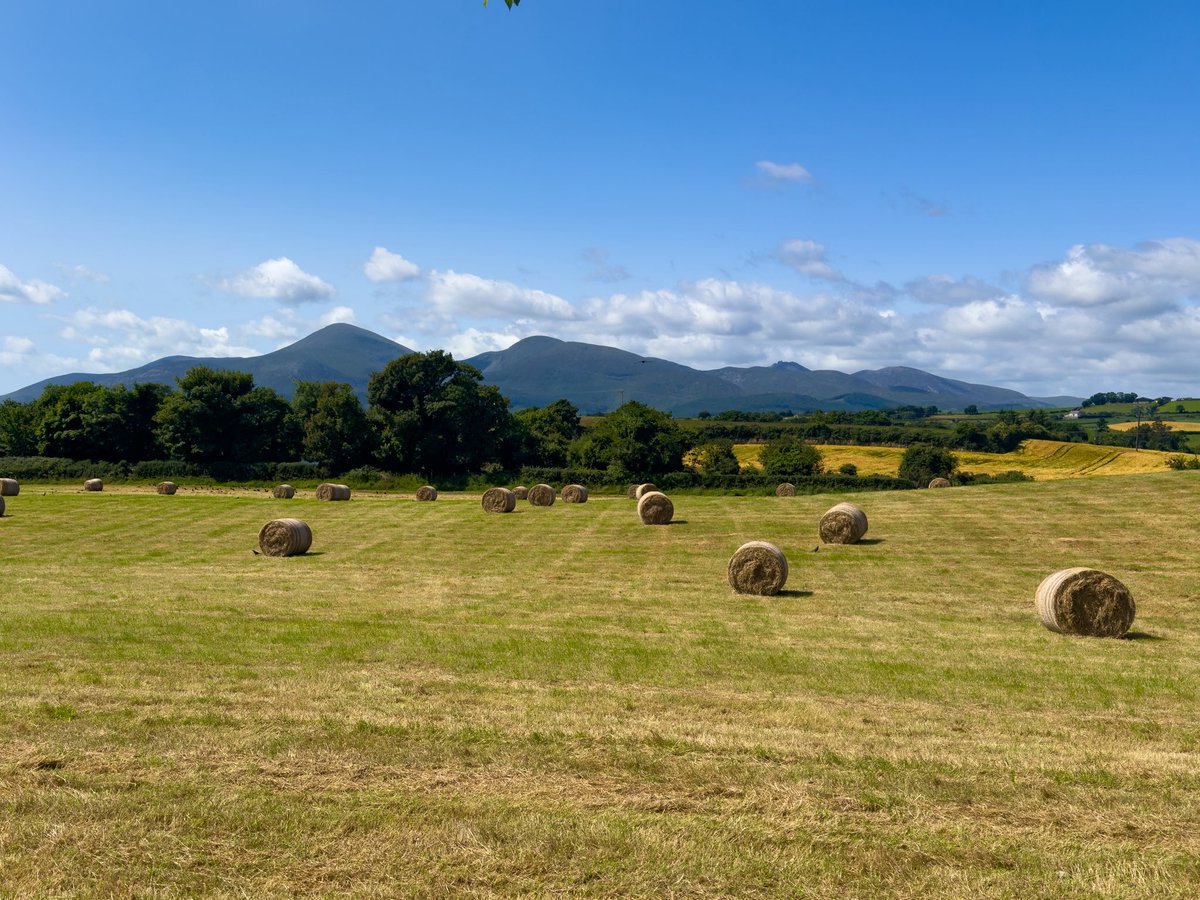 A beautiful day in Dundrum looking across to the #MourneMountains <a href="/WeatherCee/">Cecilia Daly</a> <a href="/barrabest/">Barra Best</a> <a href="/LoveBallymena/">Love Ballymena</a> <a href="/linzilima/">Linzi Lima</a> <a href="/Louise_utv/">Louise Small</a> <a href="/WeatherAisling/">Aisling Creevey</a> <a href="/BelfastLive/">Belfast Live</a> <a href="/coolfm/">Cool FM</a> <a href="/nmdcouncil/">NewryMourneDown</a> <a href="/msbbelfast/">MourneSeafoodBelfast</a> <a href="/visitmourne/">Visit Mourne</a> <a href="/MourneBrewery/">Mourne Mountains Brewery</a> <a href="/MourneMRT/">MourneMRT</a>