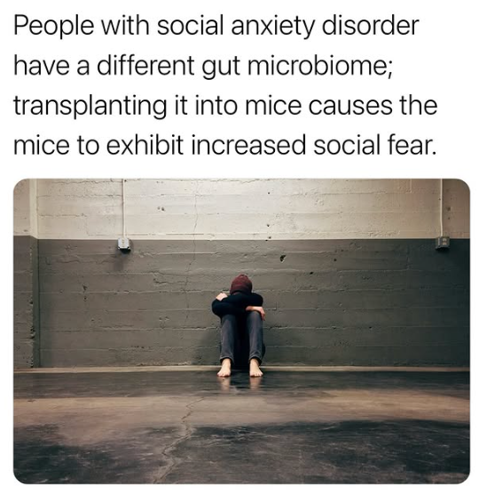 People with social anxiety disorder (SAD) have been shown to have a distinct gut microbiome compared to those without the condition.