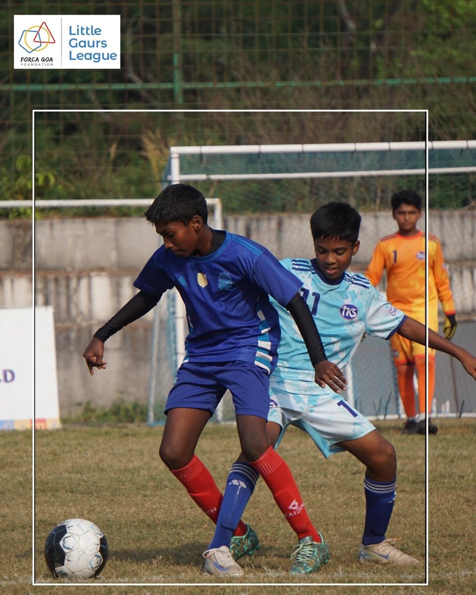 Forca Goa Foundation tweet media