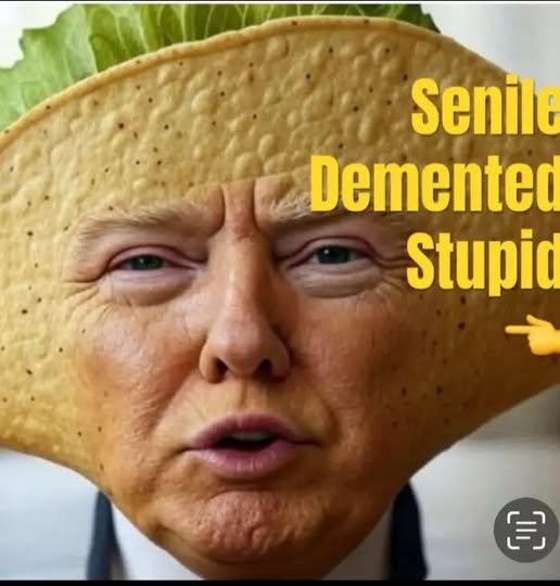 ShadowmanKnows's tweet photo. This TACO TRUMP IS NOT MY PRESIDENT!  "NEVER!"  DAMN He's stupid! https://t.co/zupCRm1awh