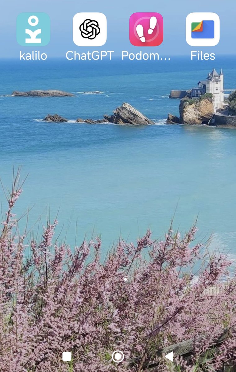 Calticom64's tweet photo. Et n'oubliez pas de télécharger #KALILO pour suivre en temps réel toutes les informations utiles sur votre plage préférée ! #astuce https://t.co/oTgSun0Ali